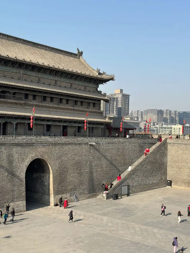 施之至IDC运维服务对比:自建机房与托管机房的成本与稳定性分析